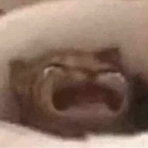 Meet your Posher, Harley